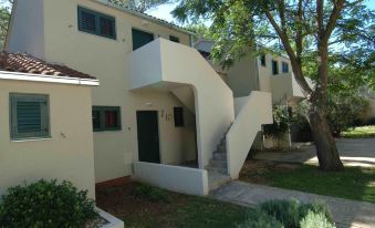 Apartments in Zaton with Pool