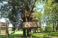 Out 'N' About Treehouse Treesort Hotels in Josephine County
