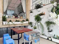 Hostel Nha Tho - Hostels