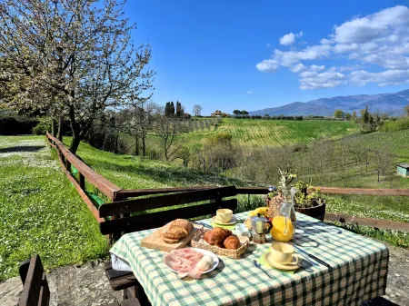 Il Pino Bioagricoltura