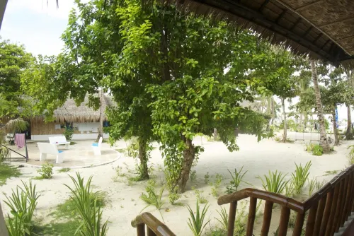 เอโวลูชั่น ไดฟ์แอนด์บีชรีสอร์ท