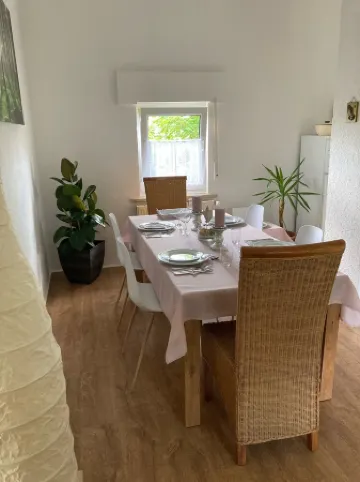 Family holiday, meeting with friends, enjoying the garden