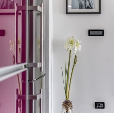 전망 좋은 테라스