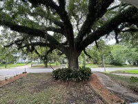 The Bungalow at Gallery 450
