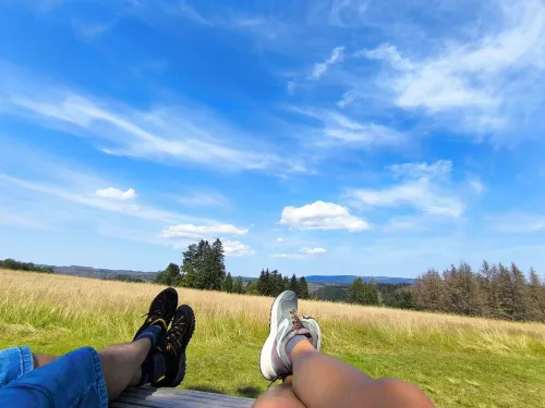 Große Ferienwohnung Altenau-meister Hotels in Altenau