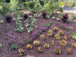 Easy location, Ocean view, Sunsets, Jeep Available, Solar, Battery Power, Wifi