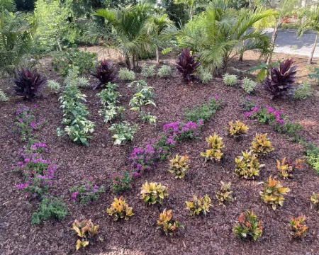 Easy location, Ocean view, Sunsets, Jeep Available, Solar, Battery Power, Wifi サウスサイドのホテル