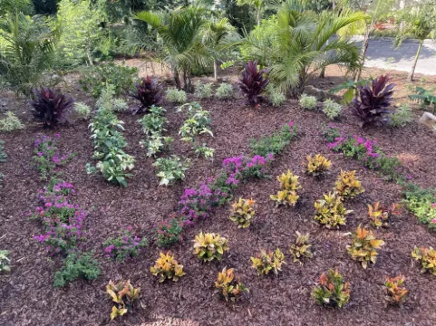 Easy location, Ocean view, Sunsets, Jeep Available, Solar, Battery Power, Wifi Hoteles en Southside