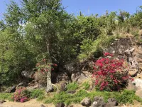 LOCATION! Beach & Ocean Front Luxury Villa Rio Mar Resort Hotels in Mameyes II