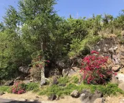 LOCATION! Beach & Ocean Front Luxury Villa Rio Mar Resort