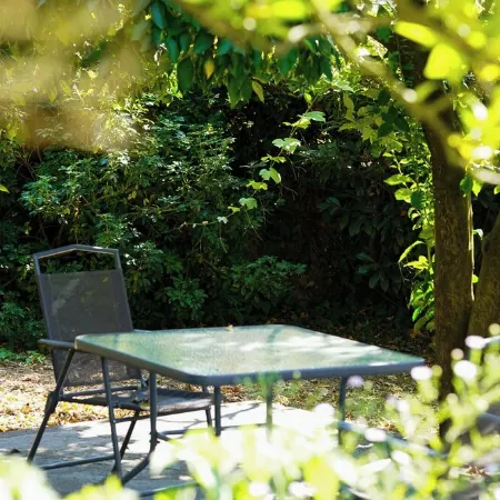 Quinta de Vilar Country House with pool near Porto