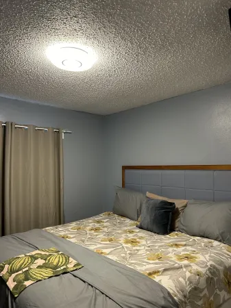 Vera Cottage 10 minutes from St Pete Downtown & Pier 2 bedrooms- 2 king 2 twin