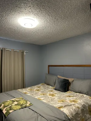 Vera Cottage 10 minutes from St Pete Downtown & Pier 2 bedrooms- 2 king 2 twin