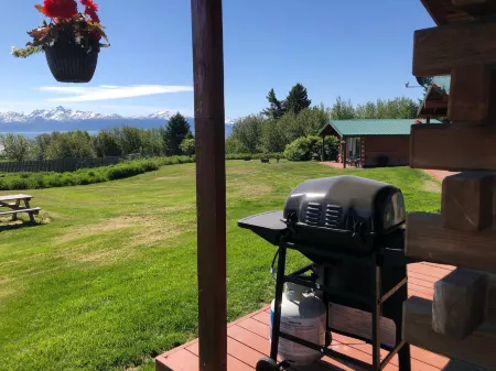 Glacier View Cabins Отели в г. Фриц Крик