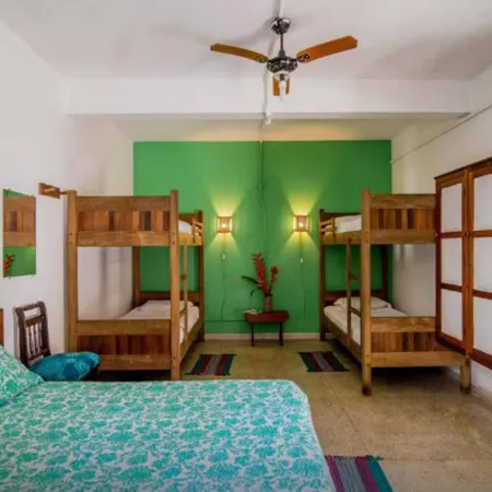 Casa Bacarirá - Floresta Com Yoga e Café da Manhã Vegano