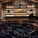 Posada Mayor de Migueloa Hotels in Samaniego