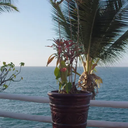 Traditional Sierra Leon Oceanfront Rooms