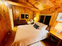 Adirondack cabin w/ large deck & outdoor grill