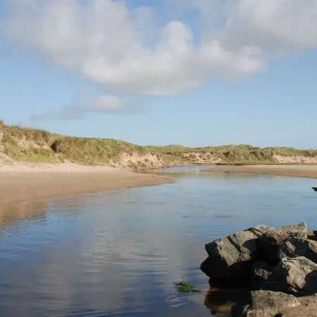 Maelog, 14 Tides Reach