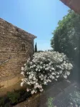 In the middle of the vineyard in the castel