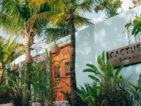 Cactus Lodge Pipa Hotéis em Pipa