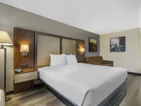 Best Western Salisbury Plaza Hotels in Wicomico County