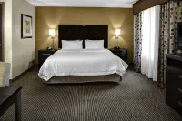 Hampton Inn & Suites Bakersfield/Hwy 58 - 2-Star