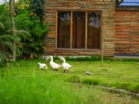 Kaadgal Resort Hotels in Ramanagara