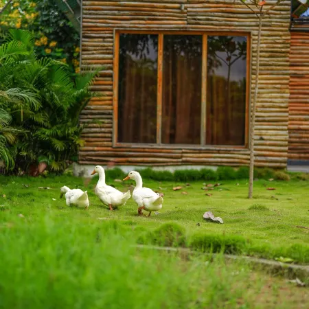 Kaadgal Resort