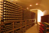 Wine and Oyadol Chitose - Pensions