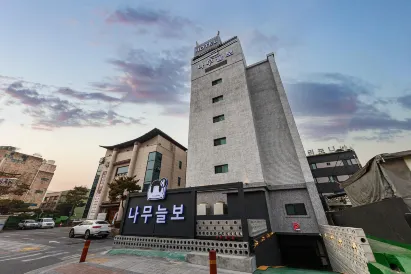 Cheongju Hotel Namuneulbo