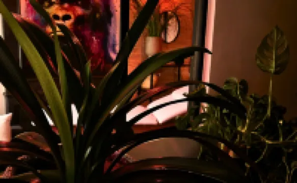 AKA LOVE ROOM - Apartments