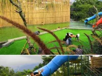 Oak Tree Glamping Resort Hotels in Batu City
