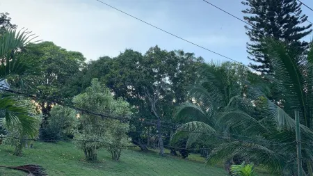 Montego Bay - Hillside Retreat