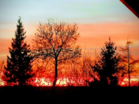 Südhang Apartment in Rehling bei Augsburg, Boxspringbetten