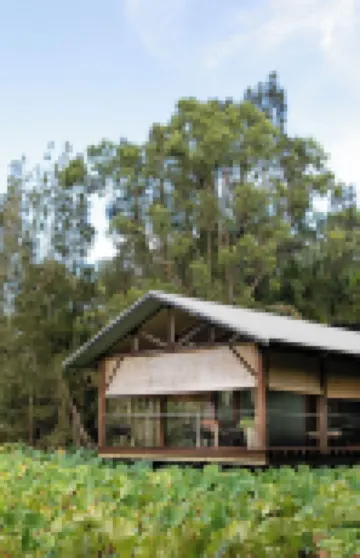 The Boathouses at Leaves & Fishes