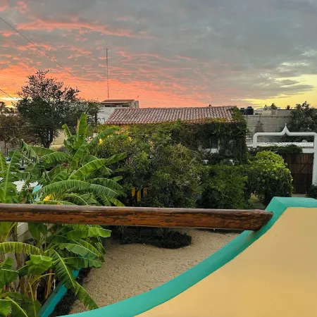 Cabo Bohemia Tropical Garden Studios