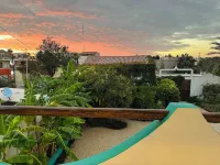 Cabo Bohemia Tropical Garden Studios - Wi-Fi