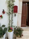 Terratetto Locorotondo Sweet Guest House