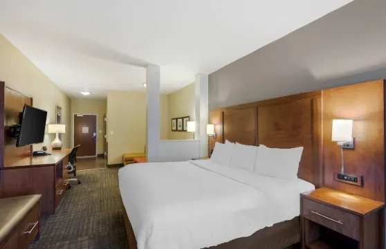 舒適套房酒店-拉弗蘭