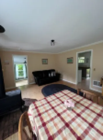 Charming 1-bedroom house surrounded by trees just outside tranquil Waldport