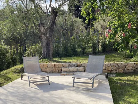 Mas de Charme au Milieu des Oliviers