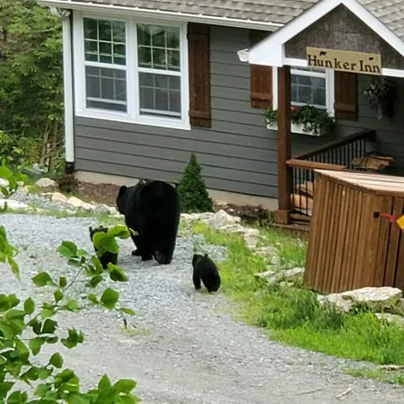 Voted #1 Home on Beech, Loft, Views, Hot Tub, Pets, Private, 2 Beds, & Firepit