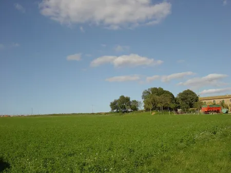 Charming Rural Accommodation Отели в г. Корса