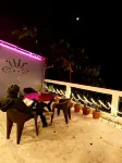 Hidden Monkey Backpackers, Darjeeling, Railway Station Отели рядом с достопримечательностью «Парк Шраббери Найтингейл»