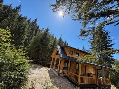 Charming 2-bedroom cabin in amazing Babino Polje with WiFi Hotels in 