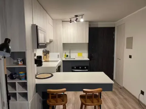 Delightful apartment with WiFi in Macul Отели рядом с достопримечательностью «Парк Сан Луис де Макуль»