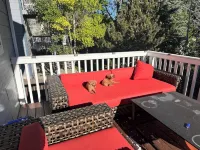 Charming Broomfield Retreat: Modern Comforts & Prime Location