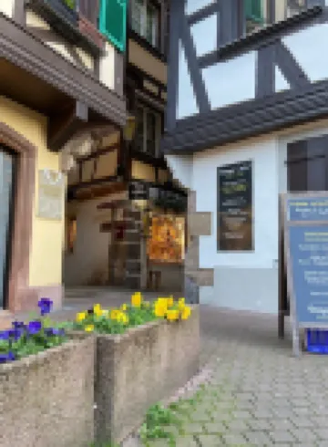 Apartment and garden in house in Obernai