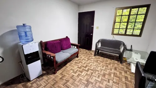 พีซ แอนด์ กรีน